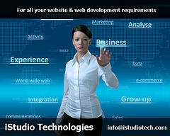 company website design